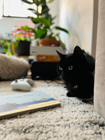 LIBRO EL VIEJO FRITZ