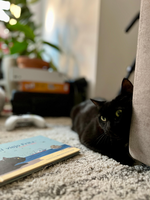 LIBRO EL VIEJO FRITZ