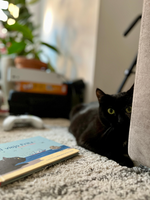 LIBRO EL VIEJO FRITZ