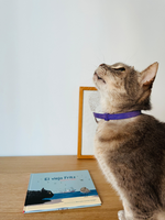 LIBRO EL VIEJO FRITZ